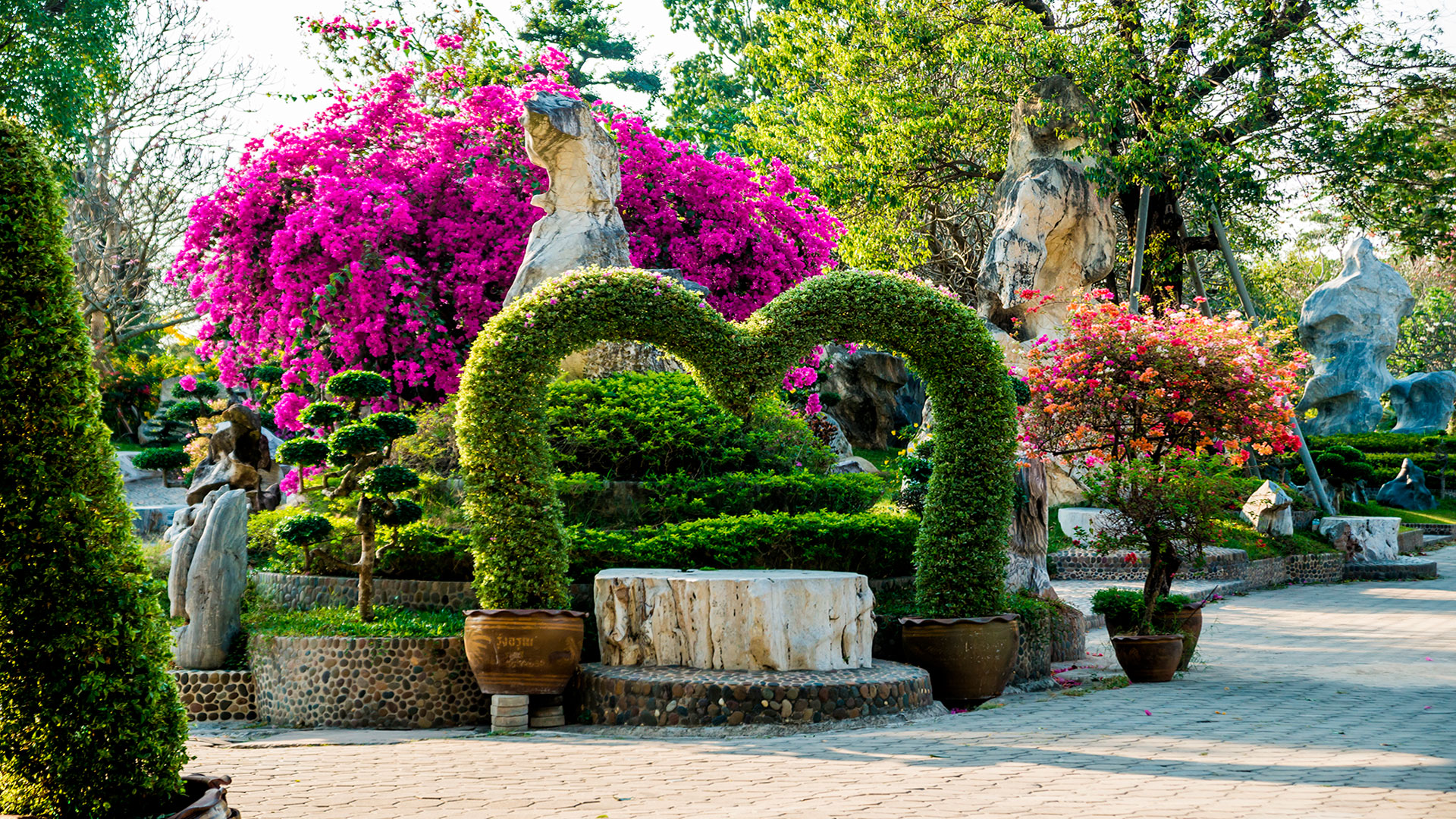 Prolim-Cleaning-Garden