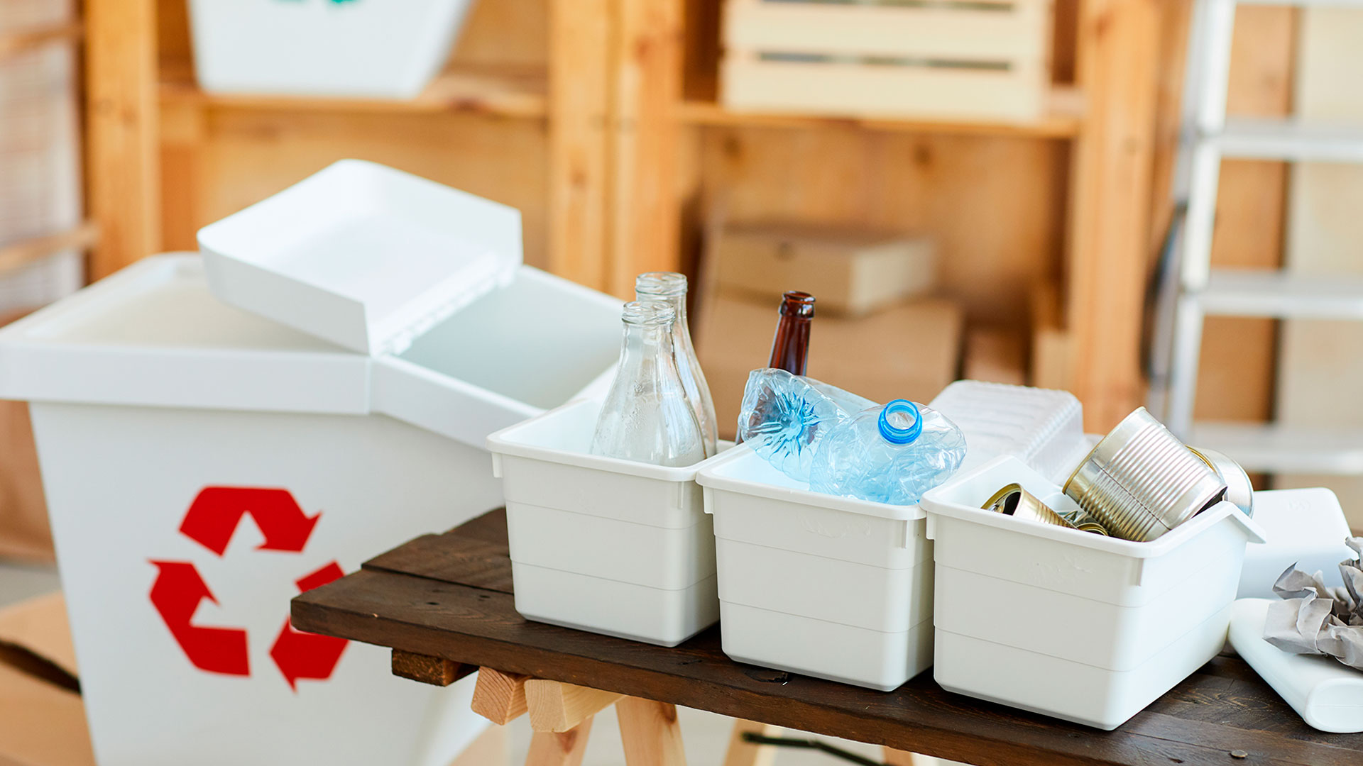Prolim-Cleaning-Waste-Removal Prolim-Cleaning-Waste-Removal